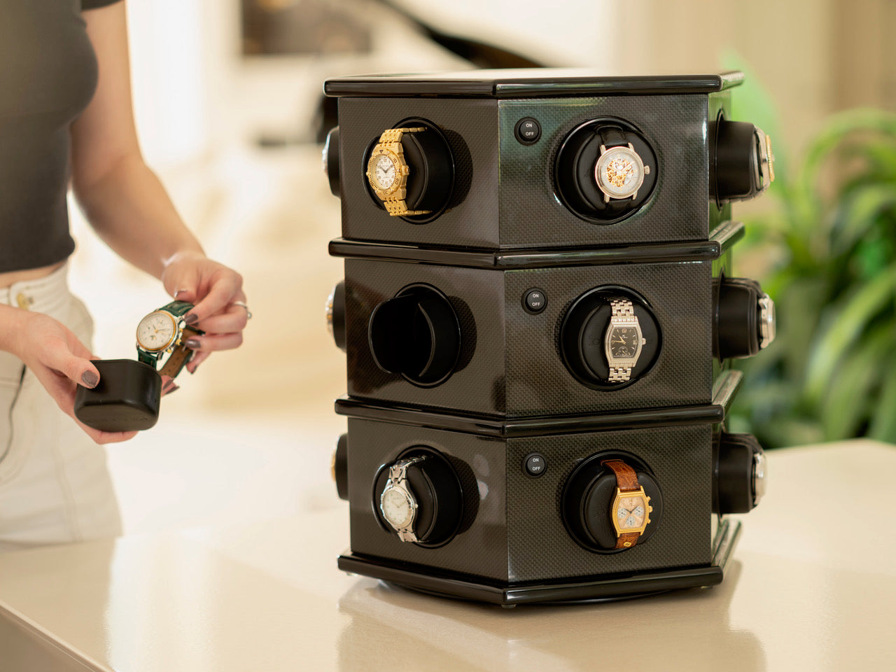 Carolo 6 watch winder — open module detail